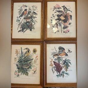 Set of Four Vintage Botanical Bird Prints by Arthur Singer in Wood Frames
